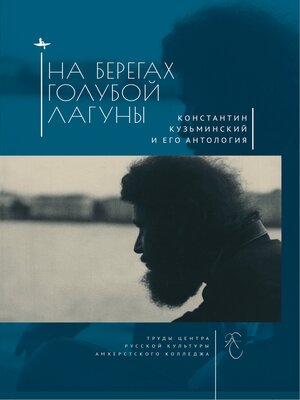 cover image of The Blue Lagoon